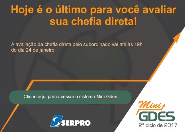 Mini-GDES avaliação da chefia